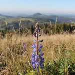 Zum Lamm Penzion Bischofsheim an der Rhön