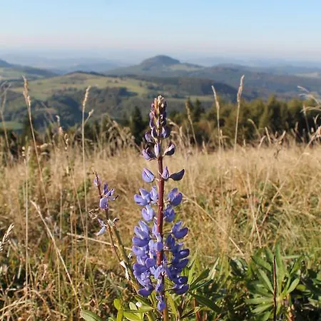 Zum Lamm Gasthof Bischofsheim an der Rhön